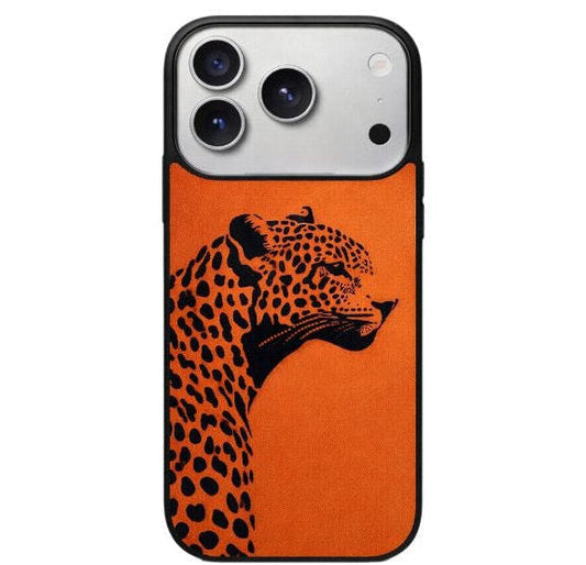 Cover 17 Pro