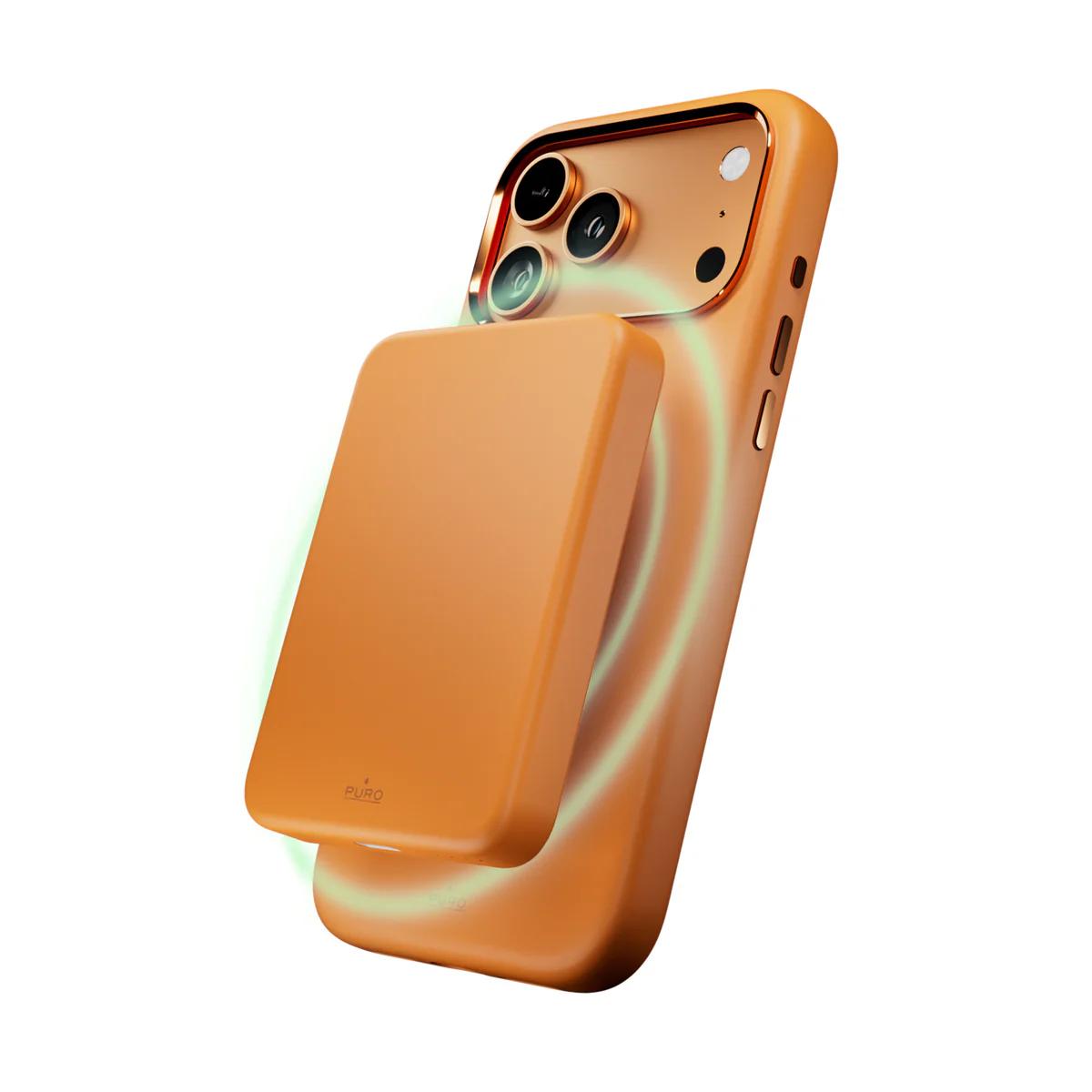 Cover 17 Pro Max Puro